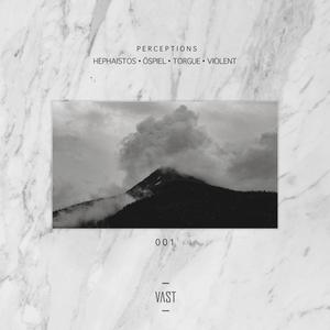 Autopsy Of A Quiet Man