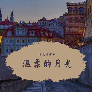 温柔的月光