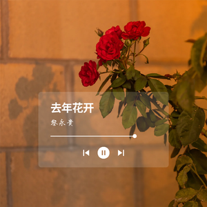 去年花开