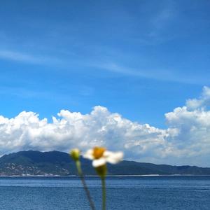 二泉映月 (解压轻音乐)