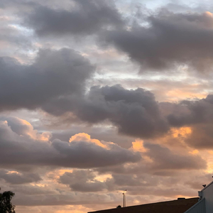 it's the little things