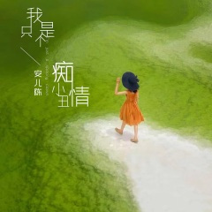 我只是个痴情小丑 (伴奏)