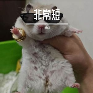 铜圆&小丁恋爱最后一次