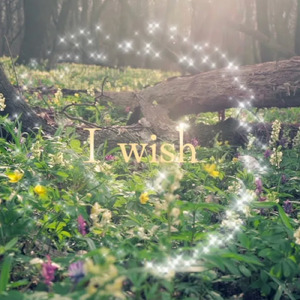 I wish ～君が君を愛せるように～