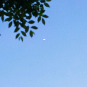 忽然之间（翻唱）