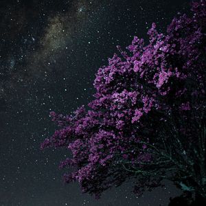 [Free] "记忆碎片" EMO TYPE BEAT