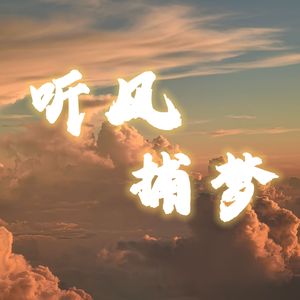 听风捕梦