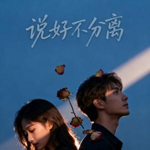 说好不分离
