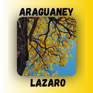 ARAGUANEY