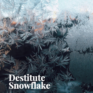 Destitute Snowflake/孟菲斯Soul/BOBBYNOPEACE type beat