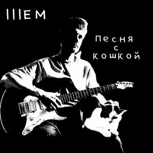Песня с Кошкой