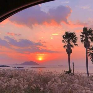 银河与星斗（翻自yihuik苡慧）