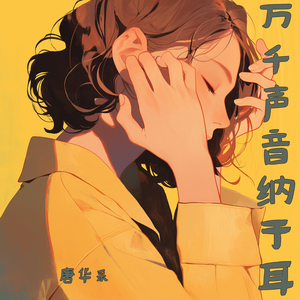万千声音纳于耳
