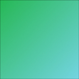 SPLIT/WHOLE TIME (Cover)