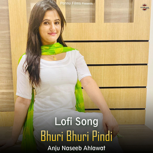 Bhuri Bhuri Pindi - Lofi Song