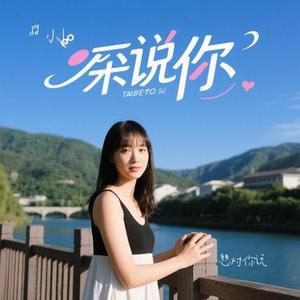 想对你说 (Cover 郑国锋)