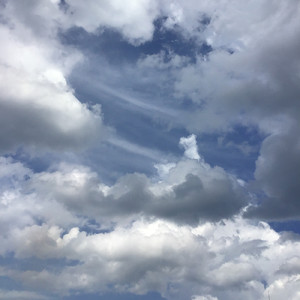 秘密の隠し場所