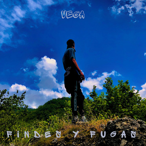 Findes y Fugas