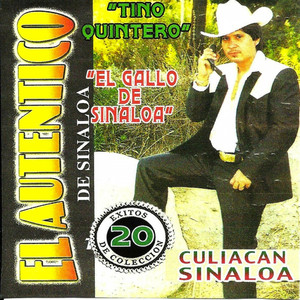 El Gallo De Sinaloa