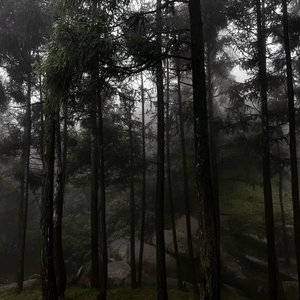 泪与风化作雨中梦