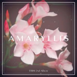 Amaryllis
