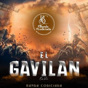 El Gavilán (En Vivo)
