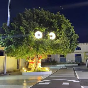 晚风遇见你-黄灿灿