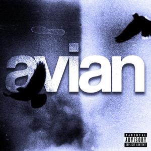 avian
