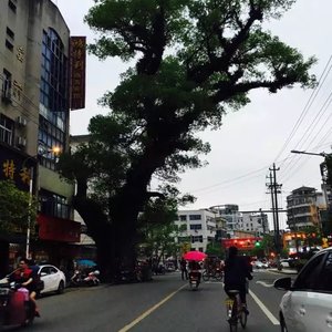 公路之光（Cover 腰乐队）