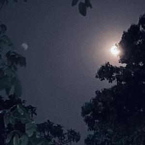 Wind Me（Prod.by drippinshawty)