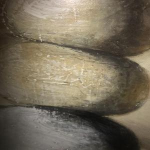 Merry Christmas (Freestyle)