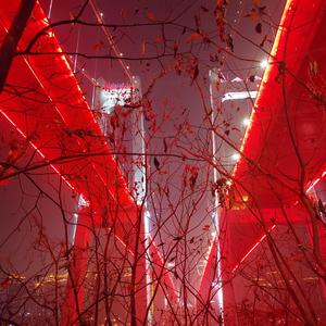 你看，我们的花快枯萎了（demo）