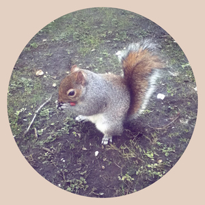 녹색 여름 안에서(Remix)