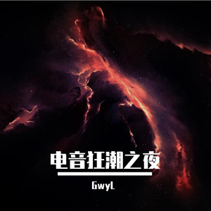 电音狂潮之夜