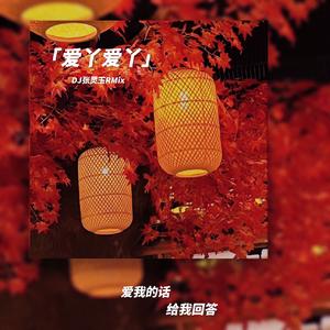 许66-爱丫爱丫 DJ张灵玉RMix