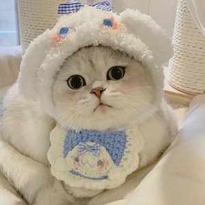 Anh Có Muốn Đưa Em Về Không (Remix)