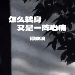 怎么转身又是一阵心痛