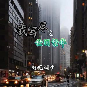 我写尽这世间繁华