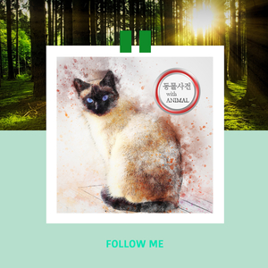 팻의 하루는 10년과 같다