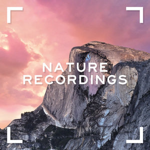 Camfire (Original Mix)