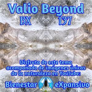 BX 137 Presencia espaciosa