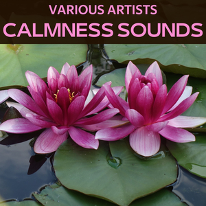 Memories of the Winter