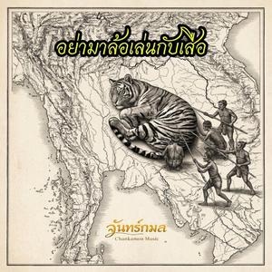 อย่ามาล้อเล่นกับเสือ