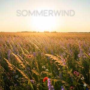 Sommerwind