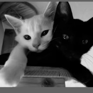 失眠爱（Prod.Eee.T&Bickyboy）