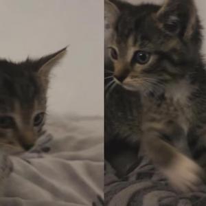 Photos