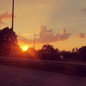 sunset freestyle
