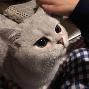 如果好运不在你身边，我在你身边