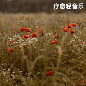 星河入海丨清新解压古筝纯音