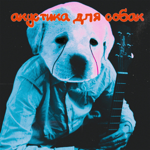 лабрадора сум